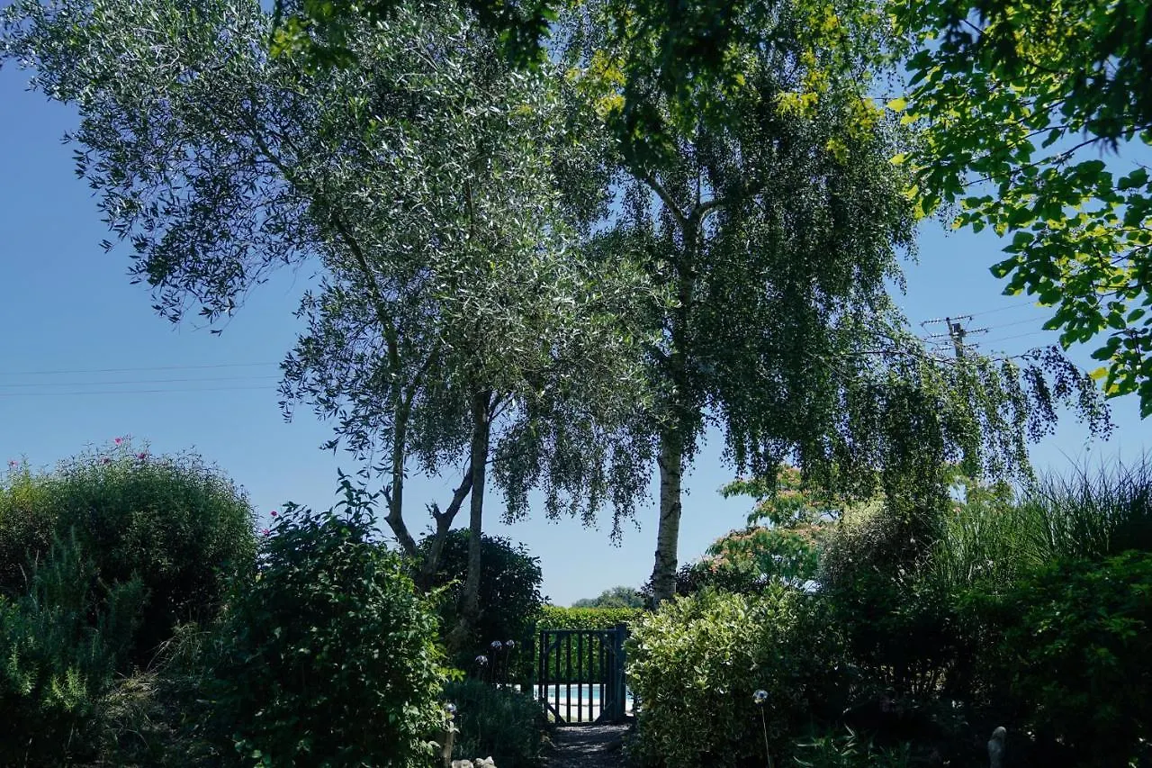 Country house Michouat Guest House Vidou