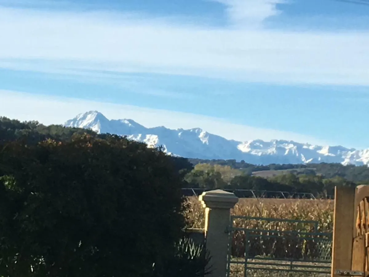 Country house Michouat Guest House Vidou